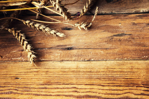 istock Wheat ears on wooden background, copyspace 658568136