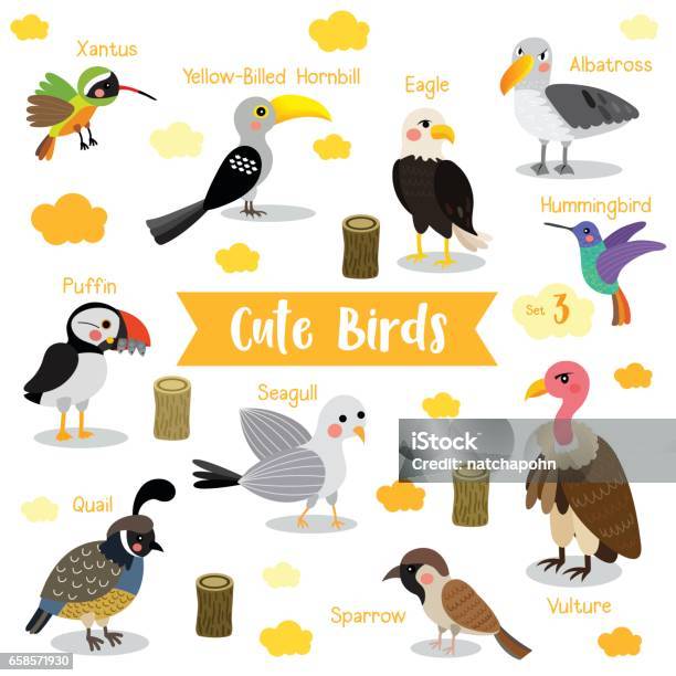 Bird Animal Cartoon With Animal Name Vector Illustration Set 3 Stock  Illustration - Download Image Now - iStock