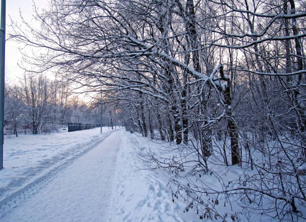 istock path in the Park in the evening in Moscow 658572018
