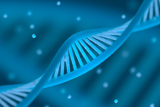 DNA chain macroshot DNA chain macroshot. Highly detailed render. Blue color. Scientific background or medical backdrop. Great for poster, book cover, flyer or folder. Shallow DOF. 3D illustration gene therapy stock pictures, royalty-free photos & images