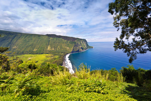 scenic waipi'o valley, big island, hawaii - hamakua coast imagens e fotografias de stock