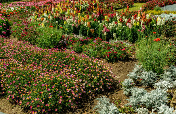 istock Part of garden 658579842