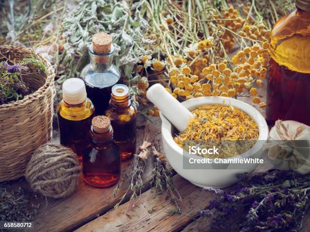 Bottiglie Di Tintura Malta Di Fiori Di Calendula Ed Erbe Curative - Fotografie stock e altre immagini di Fitoterapia