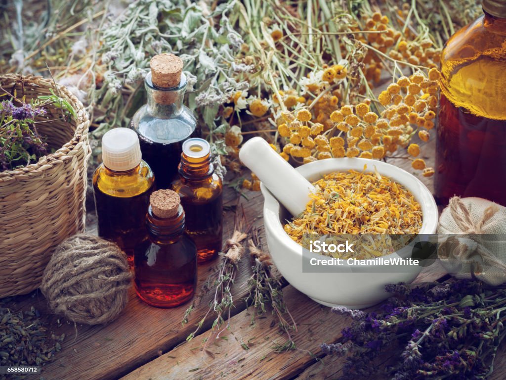 Tincture bottles, mortar of marigold flowers and healing herbs. Tincture bottles, mortar of dried marigold flowers and healing herbs on wooden board. Herbal medicine. Herbal Medicine Stock Photo