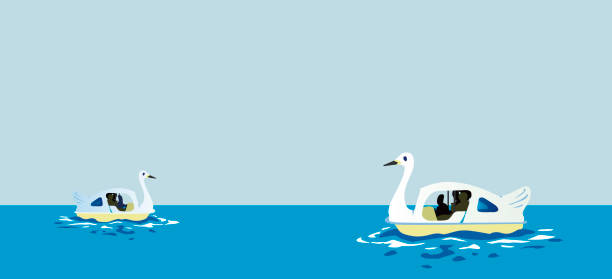 Swan boat