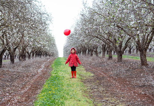 Kid throwing red balloon on almond field.