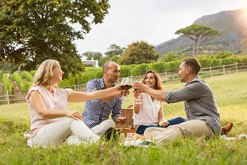 Mature friends raising their wine glasses and toasting while relaxing on a picnic blanket near a basket in the park. Group of middle aged couples having a picnic and eating together. 