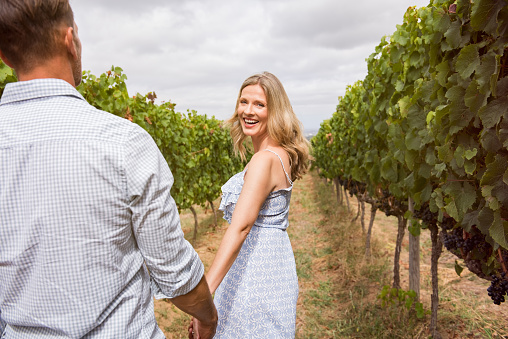 Senior couple holding hands and walking through vineyard. Cheerful mature couple enjoying afternoon in a vineyard. Rear view of happy woman holding hands of her husband and looking at camera.