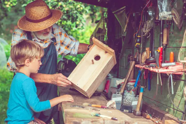 Little boy and his grandfather make birdhouse outdoors in summer