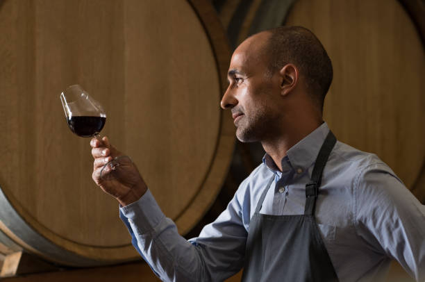 Sommelier checking wine Winemaker in wine cellar holding glass of red wine and checking it. Sommelier testing wines in winery basement. Wine producer inspecting quality of red wine in front of barrels."r wine producer stock pictures, royalty-free photos & images