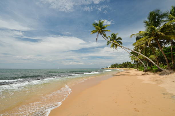 istock The shore of the Indian Ocean 658606384