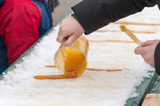 istock Maple taffy on snow at the sugar shack, in Montreal, Canada (2017) 658616424