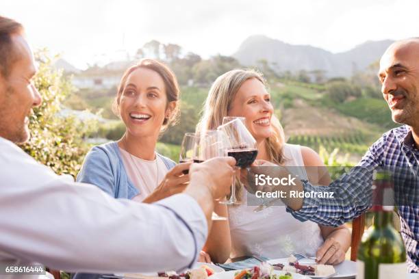 Friends Raising Toast Stock Photo - Download Image Now - Friendship, Wine, Vineyard