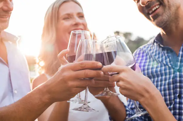 Photo of Friends raising toast with wine
