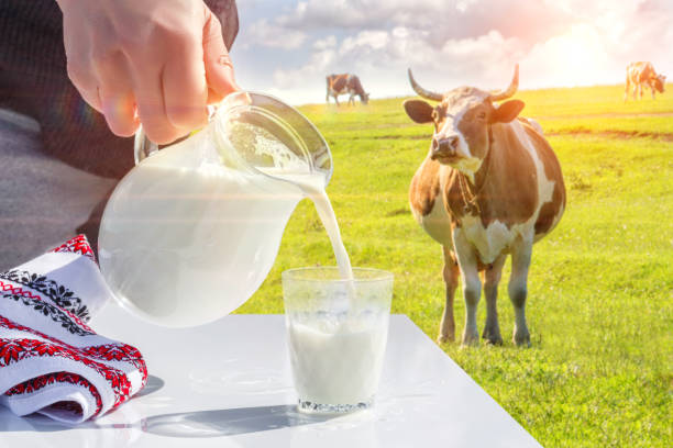 istock Pouring milk in a glass. 658616986