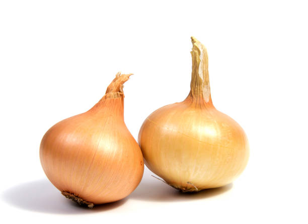 istock Young fresh onion isolated on a white background. 658617226