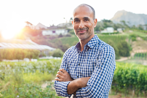 Portrait of a proud mature farmer standing with folded arms with vineyard in background. Mature satisfied winemaker looking at camera. Proud owner of the vineyard with crossed arms.