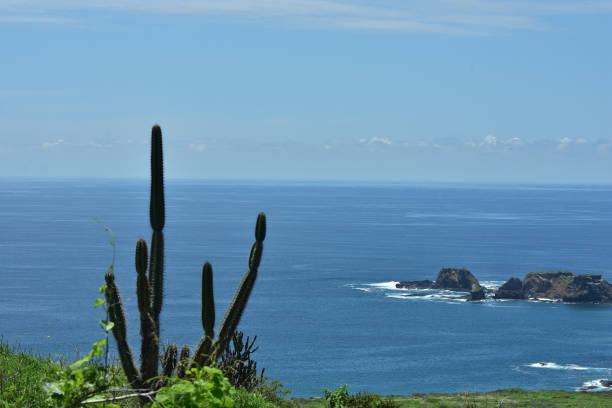 Isla de la Plata, Machalilla Park, Ecuador