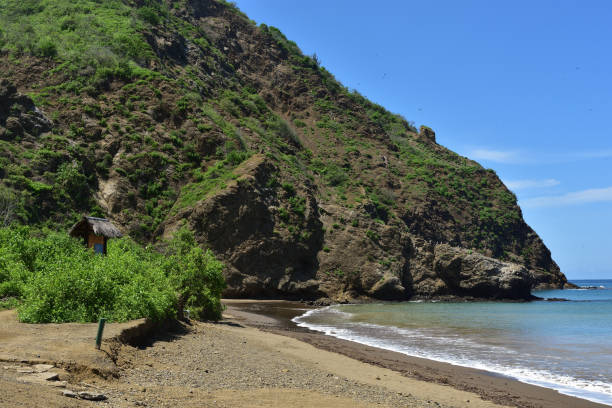 istock Isla de la Plata, Machalilla Park, Ecuador 658628992