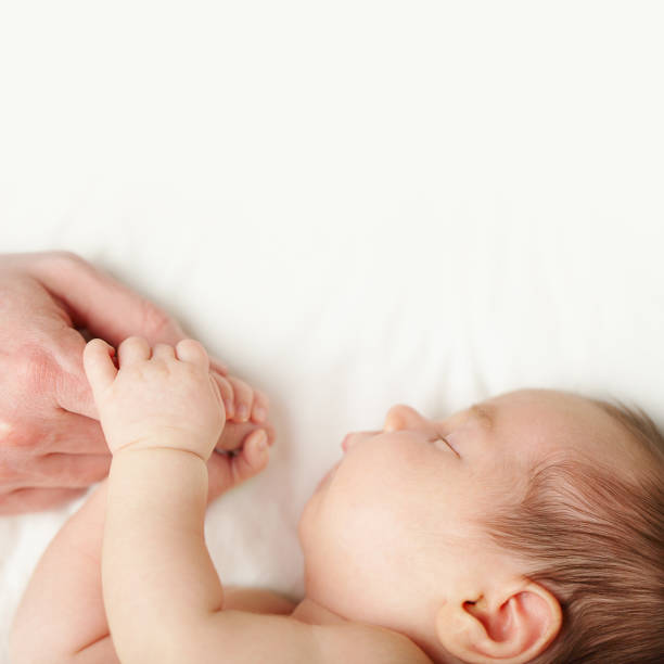 istock Love - baby holding fathers hand, white background 658631436
