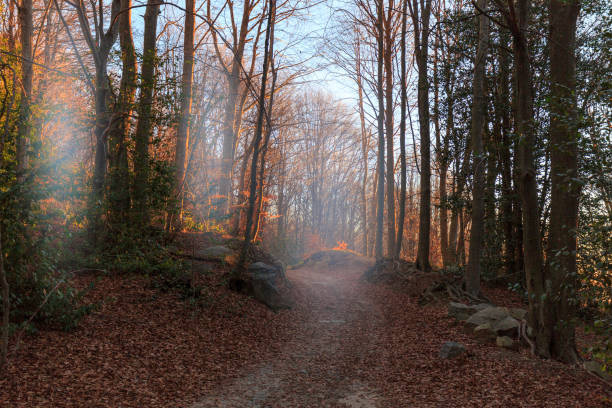 Landscapes from Montseny Forest, in Barcelona province, Catalonia, Spain