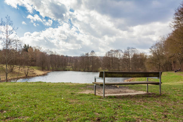 istock Relaxing Park Bench View over Water Forest Landscape Peaceful Tranquil Sunny Sky 658632350
