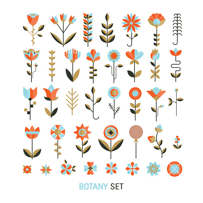 Vector  flower flat botany  collection isolated on white background. Set of  floral and herb elements, ecology signs and icons.