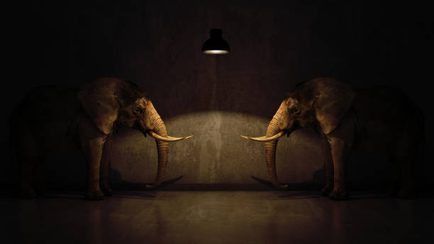 istock elephant in the room near wall. Creative concept 658635682