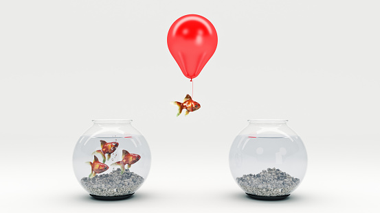 Gold fish flying away from a fishbowl with the help of a balloon. 3d rendering