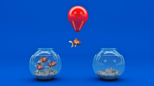 złota ryba odlatuje z fishbowl za pomocą balonu. - think tank obrazy zdjęcia i obrazy z banku zdjęć