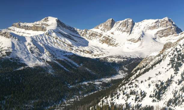 istock Canadian Rockies Winter Panorama 658638798