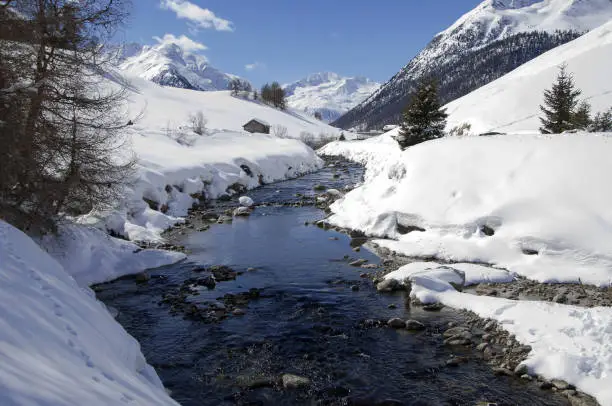 il fiume Spöl attraversa la valle di Livigno - the Spöl river runs through the valley of Livigno