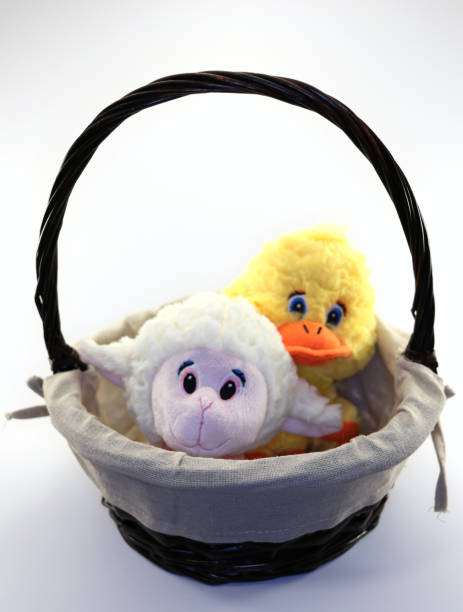 istock Duck and lamb in basket 658642966