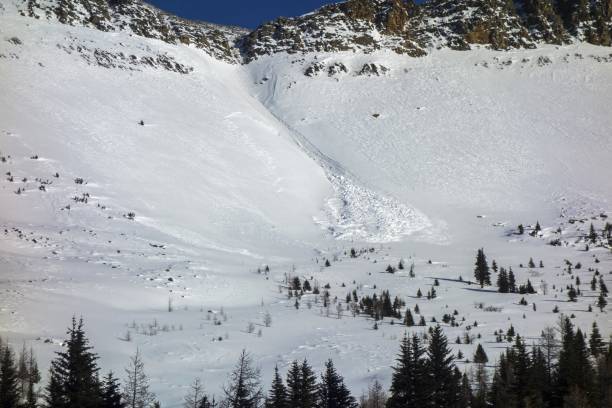 istock Avalanche in Canadian Rockies 658643268