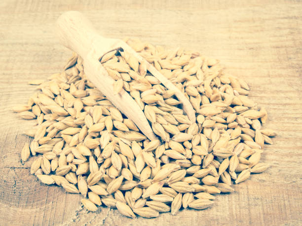 istock Barley grain or seeds CloseUp. 658647176