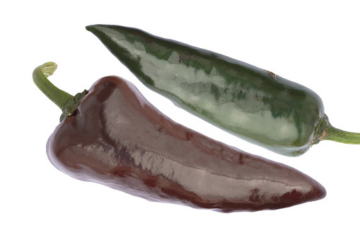 The Pasilla (Chilaca) - a brown variety of chili pepper. The rather large pods (> 15 cm) are medium hot with a heat lefel of 5-6 (from 0 to 10). A brown and a unripe green pod against white background.