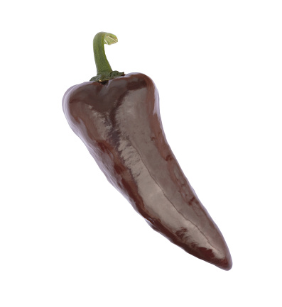 The Pasilla (Chilaca) - a brown variety of chili pepper. The rather large pods (> 15 cm) are medium hot with a heat lefel of 5-6 (from 0 to 10). A single brown pod against white background.