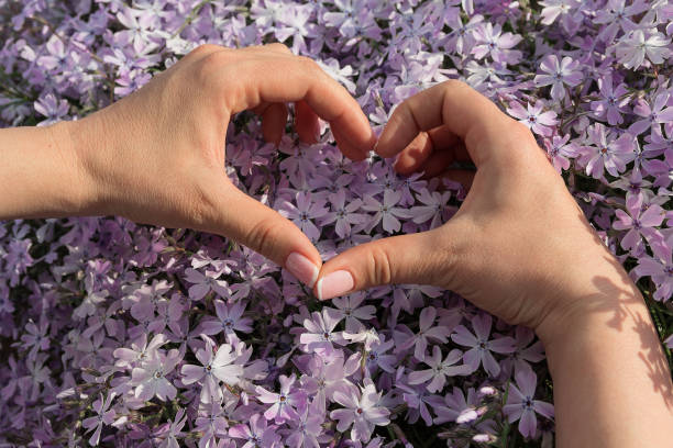 istock Women's hands folded in the shape of a heart 658650550