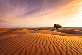 istock desert sunset 658653498