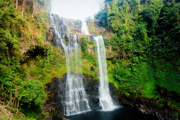 istock Tad Yaung waterfall, Champasak Laos 658653850