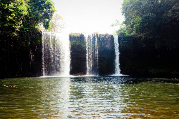 istock Beautiful waterfall in deep forest in  Laos 658653906