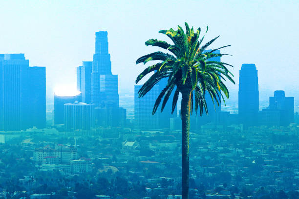 istock Los Angeles California Skyline Palm Tree 658654036