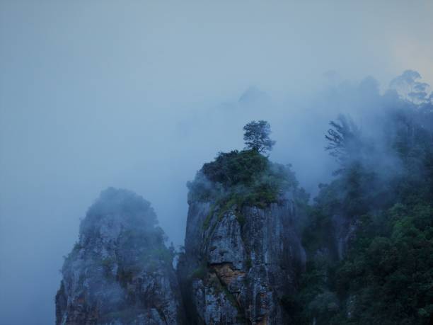 Mountain covered in fog Morning mist and fog, covers the iconic Rock Pillars in Kodaikanal, Tamil Nadu, India, a traveller can see the years of Nature's handiwork. kodaikanal photos stock pictures, royalty-free photos & images