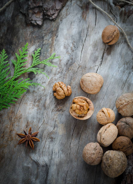 istock Walnuts on aged wood from a branch of the thuja 658657462