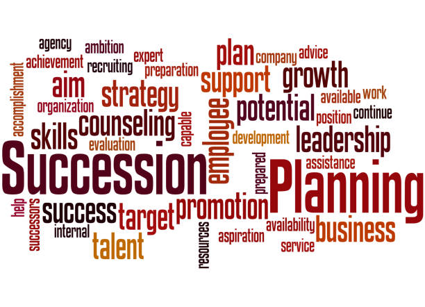 580+ Successionsplanering bildbanksillustrationer, royaltyfri