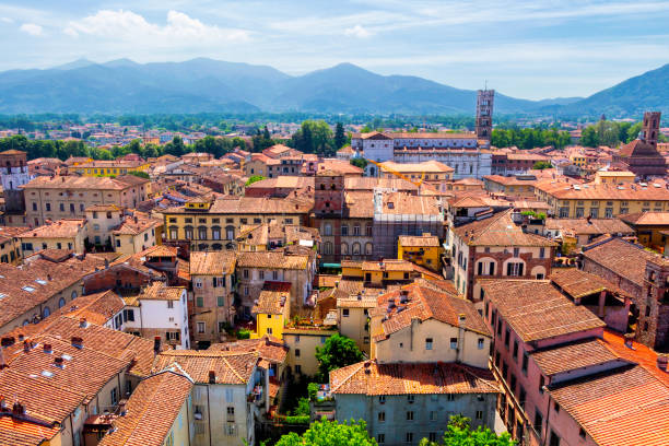 istock Aerial view of Lucca (Tuscany, Italy) during a sunny afternoon 658660744