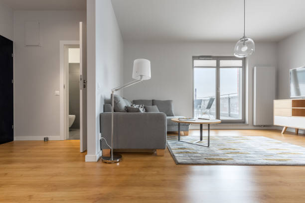 istock Modern living room and hallway 658661972