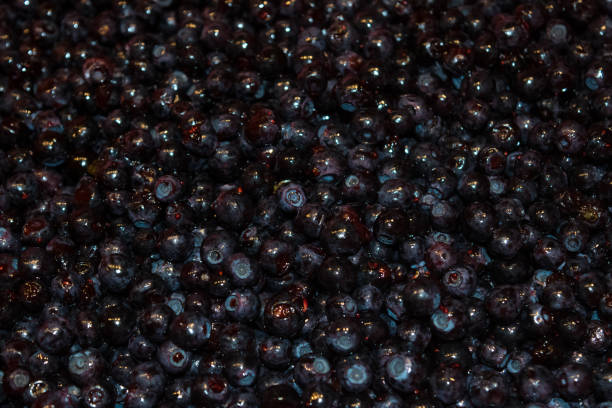 istock Norwegian blueberry freshlly picked 658665936