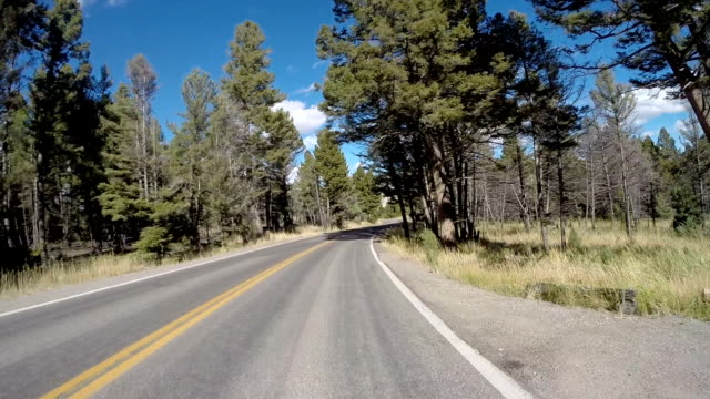 Yellowstone road way