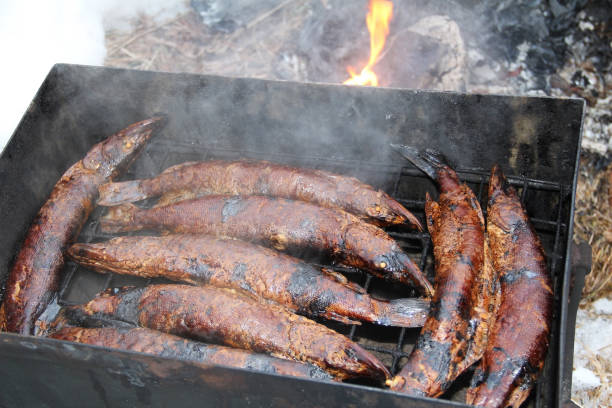 istock Smoked fish pike in smokehouse. 658673106